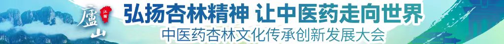 狂插猛干在线观看中医药杏林文化传承创新发展大会